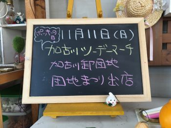 【加古川】明日は卸団地まつり【ツーデーマーチ】