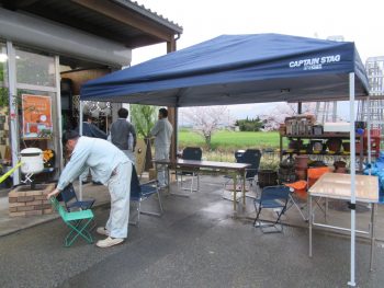 【毎年恒例】社内お花見始めました。