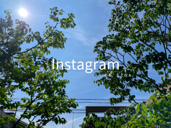 ああ、ええなぁ。なお庭【インスタ】
