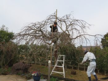 長石造園